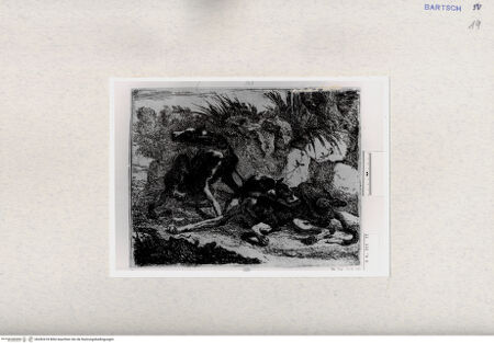 Vorderseite von  [http://creativecommons.org/publicdomain/mark/1.0/] , bh282418. Foto.