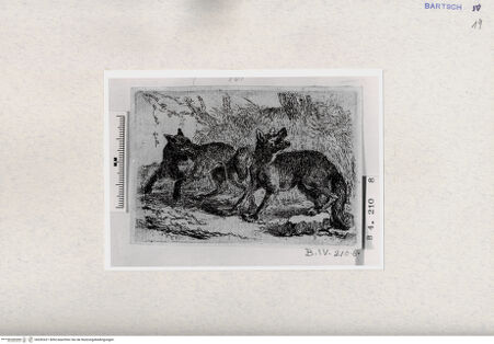 Vorderseite von  [http://creativecommons.org/publicdomain/mark/1.0/] ... - , bh282421. Foto.