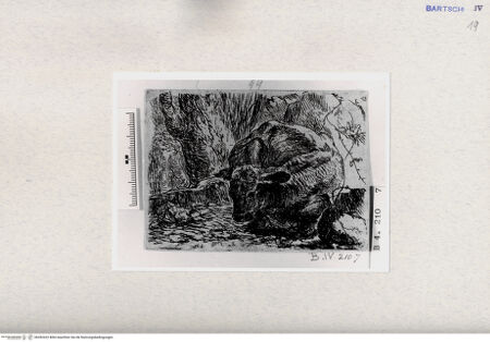 Vorderseite von  [http://creativecommons.org/publicdomain/mark/1.0/] , bh282422. Foto.