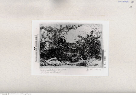 Vorderseite von  [http://creativecommons.org/publicdomain/mark/1.0/] , bh282424. Foto.