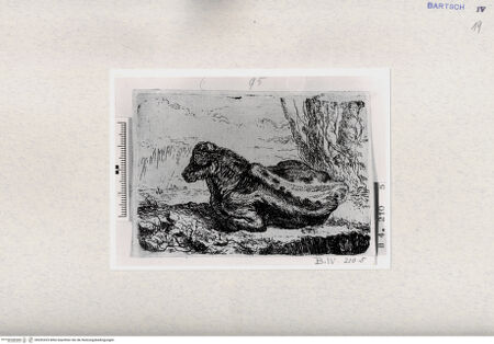 Vorderseite von  [http://creativecommons.org/publicdomain/mark/1.0/] , bh282425. Foto.