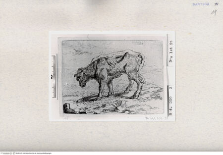 Vorderseite von  [http://creativecommons.org/publicdomain/mark/1.0/] , bh282426. Foto.