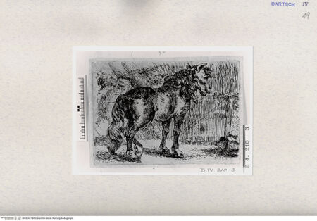 Vorderseite von  [http://creativecommons.org/publicdomain/mark/1.0/] , bh282427. Foto.