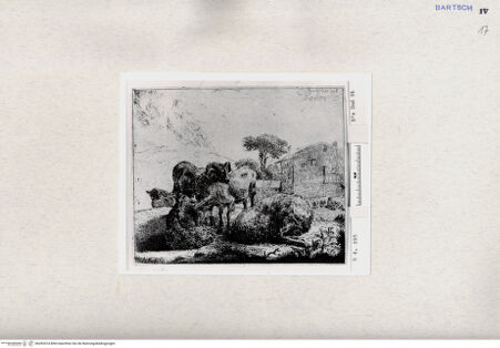 Vorderseite von  [http://creativecommons.org/publicdomain/mark/1.0/] , bh282474. Foto.