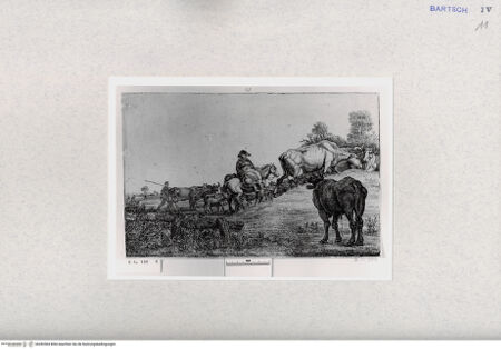 Vorderseite von  [http://creativecommons.org/publicdomain/mark/1.0/] ... - , bh282504. Foto.