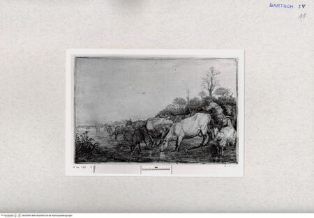 Vorderseite von  [http://creativecommons.org/publicdomain/mark/1.0/] ... - , bh282505. Foto.