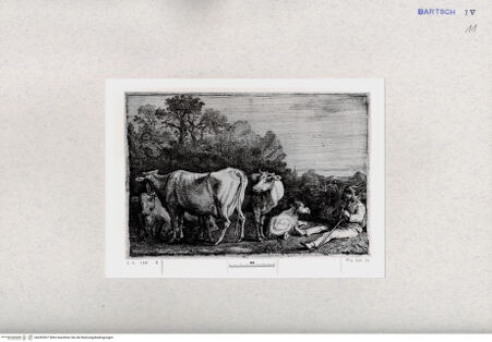 Vorderseite von  [http://creativecommons.org/publicdomain/mark/1.0/] ... - , bh282507. Foto.