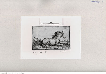 Vorderseite von  [http://creativecommons.org/publicdomain/mark/1.0/] ... - , bh282596. Foto.