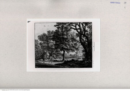 Vorderseite von  [http://creativecommons.org/publicdomain/mark/1.0/] ... - , bh282634. Foto.