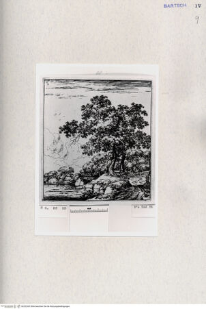 Vorderseite von  [http://creativecommons.org/publicdomain/mark/1.0/] ... - , bh282663. Foto.