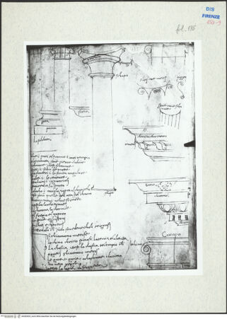 Vorderseite von bh282829_recto