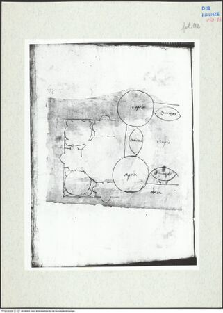 Vorderseite von bh282883_recto