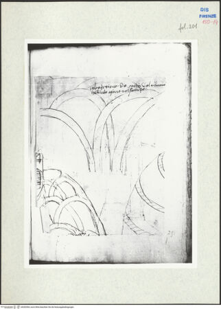 Vorderseite von bh282904_recto