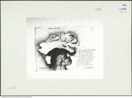 Vorderseite von bh283184_recto