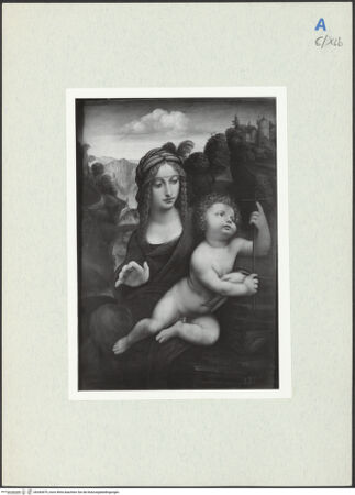 Vorderseite von bh283879_recto