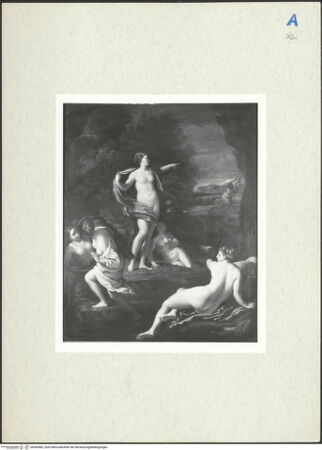 Vorderseite von bh283882_recto