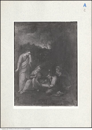 Vorderseite von bh284048_recto