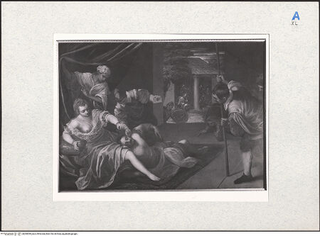 Vorderseite von bh284049_recto