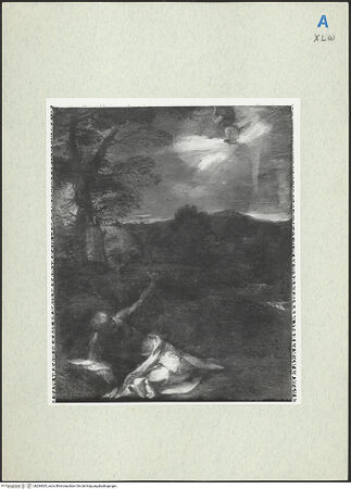 Vorderseite von bh284065_recto