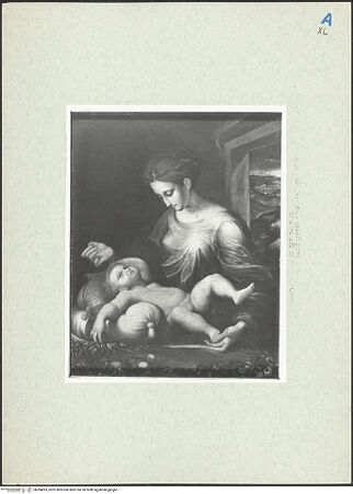 Vorderseite von bh284093_recto