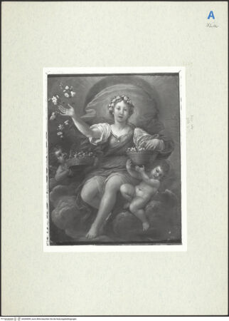 Vorderseite von bh284099_recto