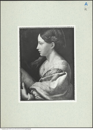 Vorderseite von bh284133_recto