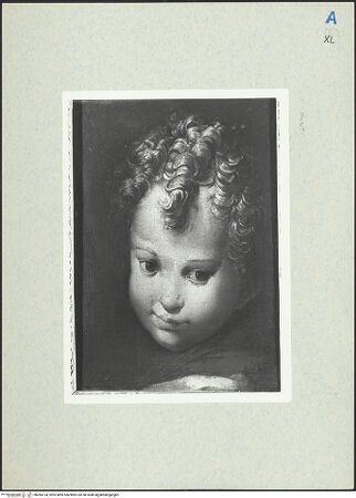 Vorderseite von bh284134_recto