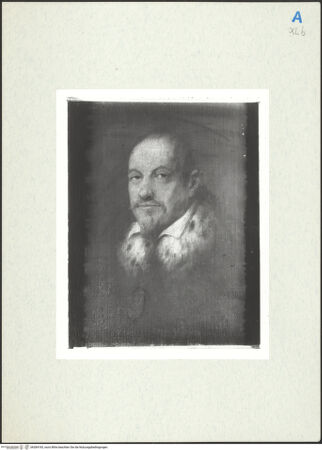 Vorderseite von bh284183_recto