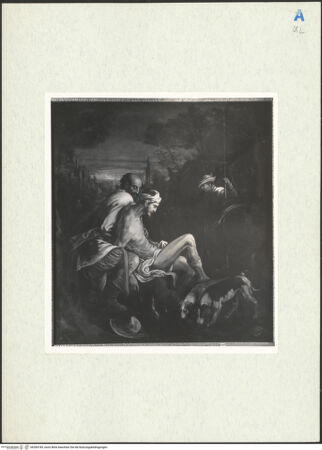 Vorderseite von bh284185_recto