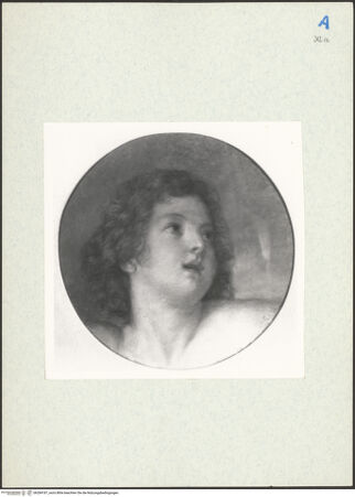 Vorderseite von bh284187_recto