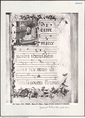 Vorderseite von bh284202_recto