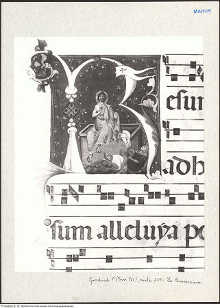 Vorderseite von bh284209_recto