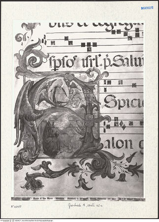 Vorderseite von bh284211_recto