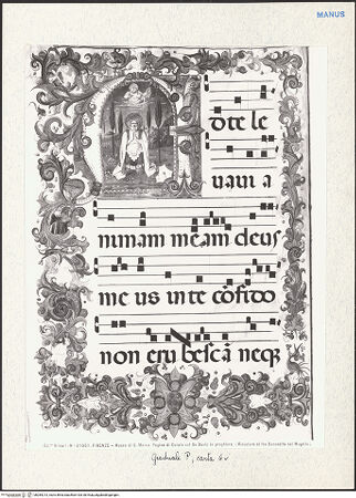 Vorderseite von bh284213_recto