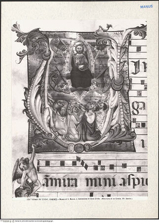 Vorderseite von bh284216_recto