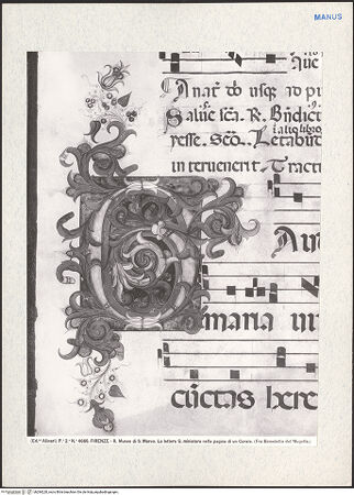 Vorderseite von bh284220_recto