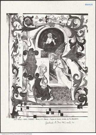 Vorderseite von bh284228_recto