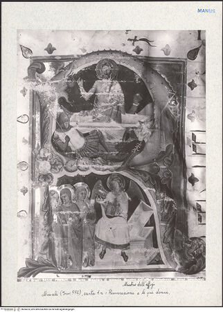 Vorderseite von bh284233_recto