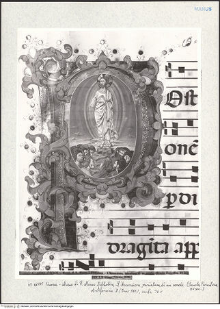 Vorderseite von bh284241_recto