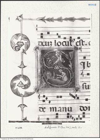 Vorderseite von bh284242_recto