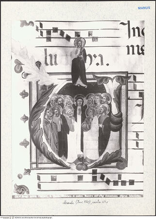 Vorderseite von bh284243_recto