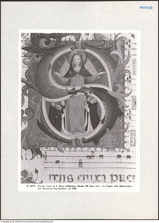 Vorderseite von bh284245_recto