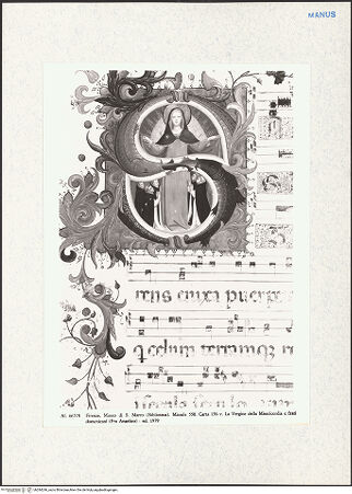 Vorderseite von bh284246_recto