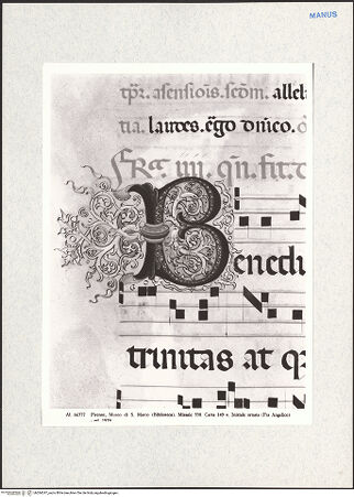 Vorderseite von bh284247_recto