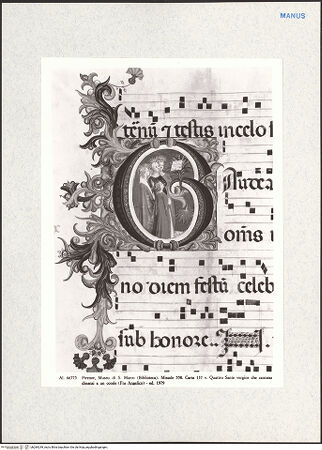 Vorderseite von bh284249_recto