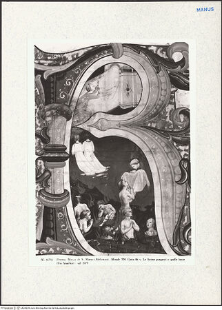 Vorderseite von bh284259_recto