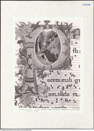 Vorderseite von bh284276_recto