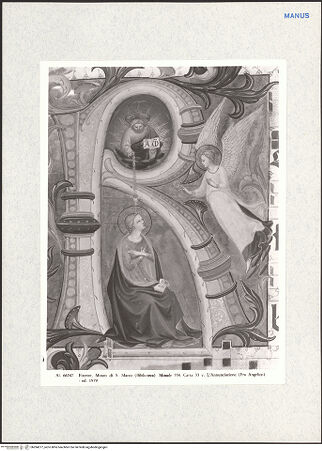 Vorderseite von bh284277_recto