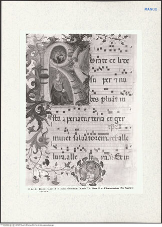 Vorderseite von bh284278_recto