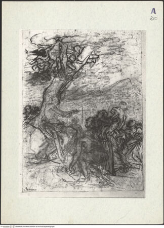 Vorderseite von bh284434_recto